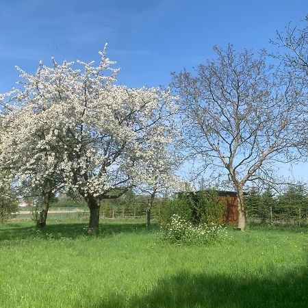 Ferme Renovee 300M2 La Casa Jeb : Charme, Calme Et Nature Moncheaux Zewnętrze zdjęcie