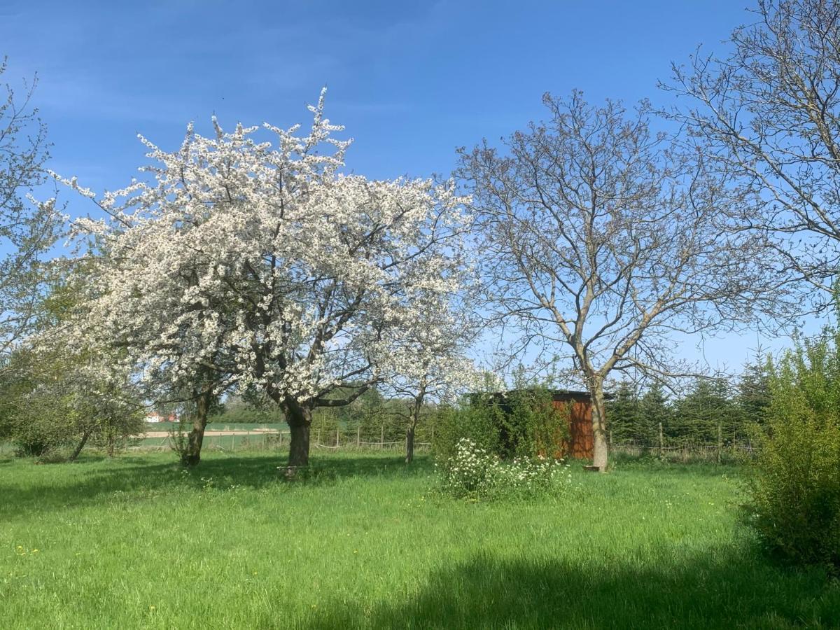 Ferme Renovee 300M2 La Casa Jeb : Charme, Calme Et Nature Moncheaux Zewnętrze zdjęcie
